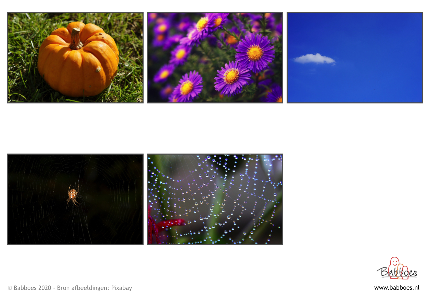 Plaatjesblad Spin en appelboom 2